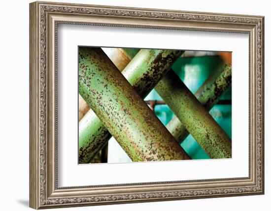 Cross Section-Dana Styber-Framed Photographic Print