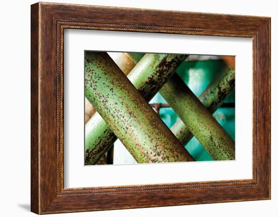 Cross Section-Dana Styber-Framed Photographic Print