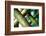 Cross Section-Dana Styber-Framed Photographic Print