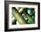 Cross Section-Dana Styber-Framed Photographic Print