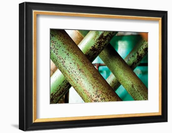 Cross Section-Dana Styber-Framed Photographic Print