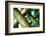 Cross Section-Dana Styber-Framed Photographic Print