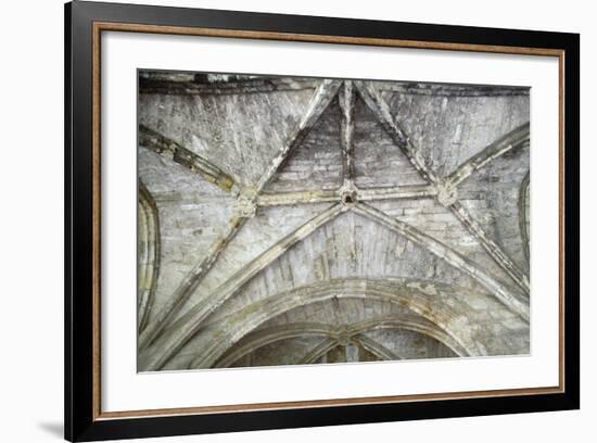 Cross Vaults, Detail from Cloisters of Narbonne Cathedral, Narbonne, Languedoc-Roussillon-null-Framed Giclee Print