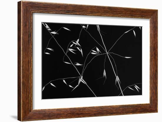 Crossed Lines-Olavo Azevedo-Framed Giclee Print