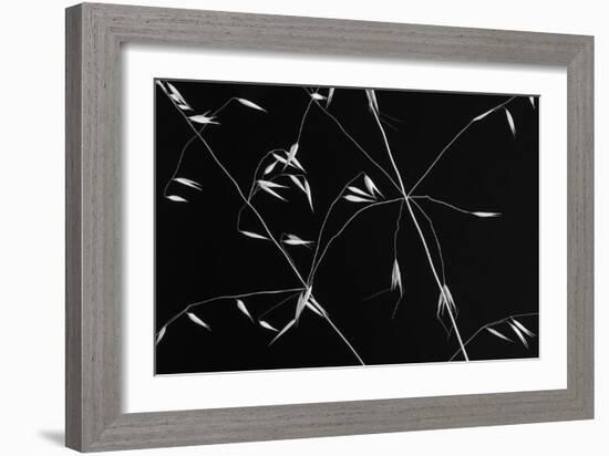 Crossed Lines-Olavo Azevedo-Framed Giclee Print