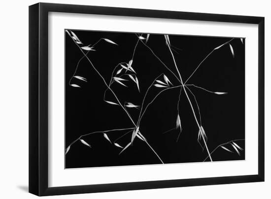 Crossed Lines-Olavo Azevedo-Framed Giclee Print