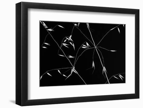 Crossed Lines-Olavo Azevedo-Framed Photographic Print