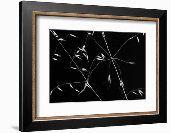 Crossed Lines-Olavo Azevedo-Framed Photographic Print