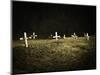 Crosses in a Cemetery-Michael Prince-Mounted Photographic Print