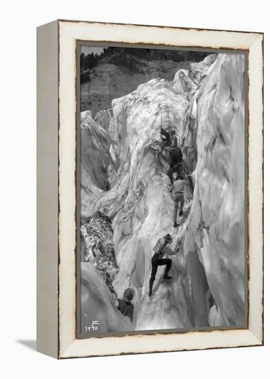 Crossing Crevasse on the Nisqually Glacier, ca. 1905-Ashael Curtis-Framed Premier Image Canvas