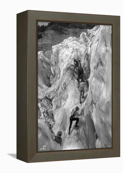 Crossing Crevasse on the Nisqually Glacier, ca. 1905-Ashael Curtis-Framed Premier Image Canvas