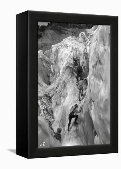 Crossing Crevasse on the Nisqually Glacier, ca. 1905-Ashael Curtis-Framed Premier Image Canvas