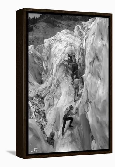 Crossing Crevasse on the Nisqually Glacier, ca. 1905-Ashael Curtis-Framed Premier Image Canvas