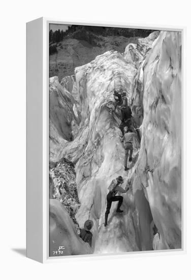 Crossing Crevasse on the Nisqually Glacier, ca. 1905-Ashael Curtis-Framed Premier Image Canvas