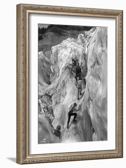 Crossing Crevasse on the Nisqually Glacier, ca. 1905-Ashael Curtis-Framed Giclee Print