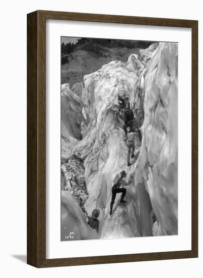 Crossing Crevasse on the Nisqually Glacier, ca. 1905-Ashael Curtis-Framed Giclee Print