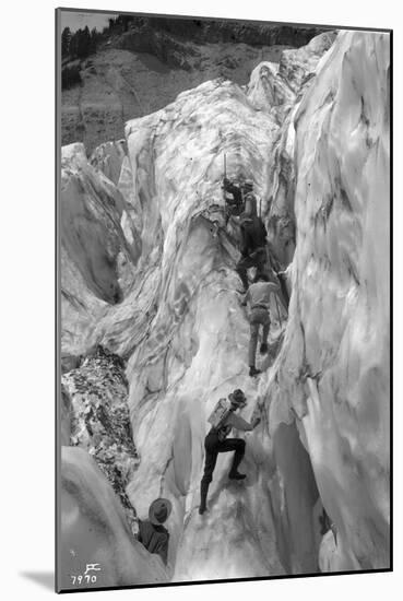 Crossing Crevasse on the Nisqually Glacier, ca. 1905-Ashael Curtis-Mounted Giclee Print