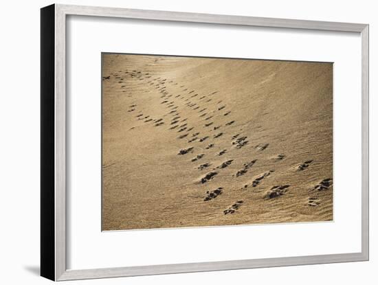 Crossing Paths-SD Smart-Framed Photographic Print