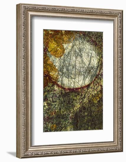 Crossing Paths-Doug Chinnery-Framed Photographic Print