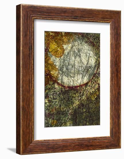 Crossing Paths-Doug Chinnery-Framed Photographic Print