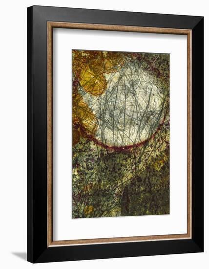 Crossing Paths-Doug Chinnery-Framed Photographic Print