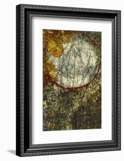 Crossing Paths-Doug Chinnery-Framed Photographic Print