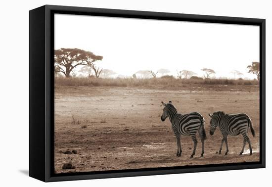 Crossing the African Plains-Jorge Llovet-Framed Stretched Canvas