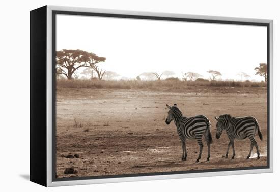 Crossing the African Plains-Jorge Llovet-Framed Stretched Canvas
