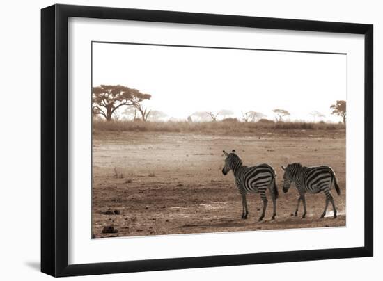 Crossing the African Plains-Jorge Llovet-Framed Art Print