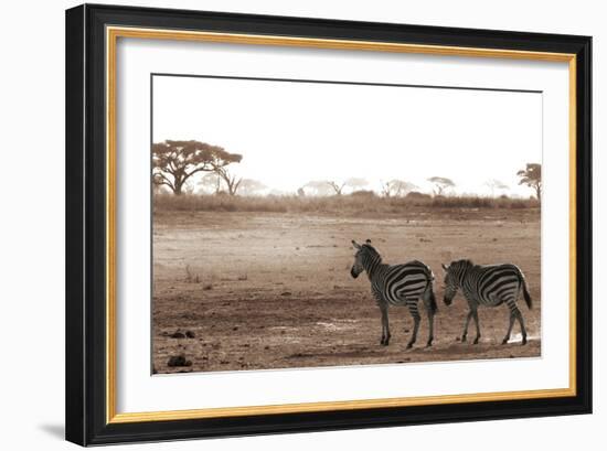 Crossing the African Plains-Jorge Llovet-Framed Art Print