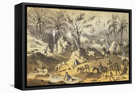 Crossing the Isthmus-Francis Samuel Marryat-Framed Premier Image Canvas