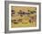 Crossing the Mara River, Maasai Mara, Kenya-Joe Restuccia III-Framed Photographic Print