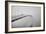 Crossing-Krunoslav-Framed Photographic Print