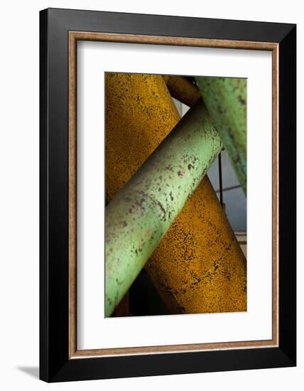 Crossover-Dana Styber-Framed Photographic Print