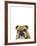 Crosspatch Canine-Assaf Frank-Framed Giclee Print