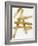 Crossroads Gold III-Ellie Roberts-Framed Art Print