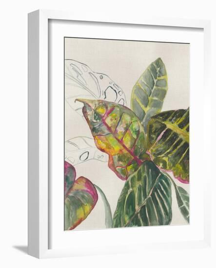 Crotons-Jacob Q-Framed Art Print