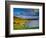 Crow Head at Dursey Sound Near Allihies, Allihies, Ireland-Richard Cummins-Framed Photographic Print