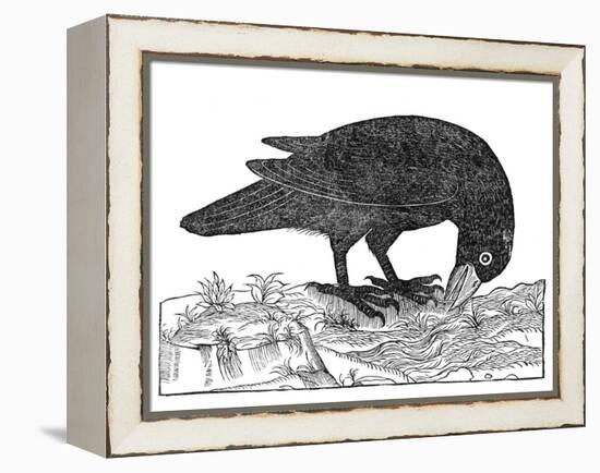 Crow, Historical Artwork-Middle Temple Library-Framed Premier Image Canvas