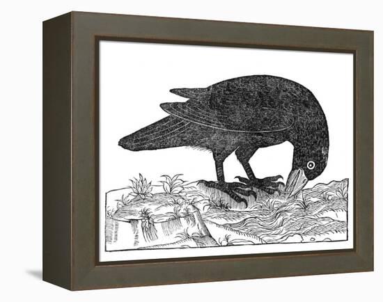 Crow, Historical Artwork-Middle Temple Library-Framed Premier Image Canvas