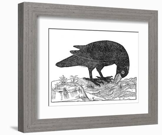 Crow, Historical Artwork-Middle Temple Library-Framed Photographic Print