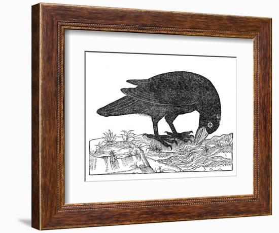 Crow, Historical Artwork-Middle Temple Library-Framed Photographic Print