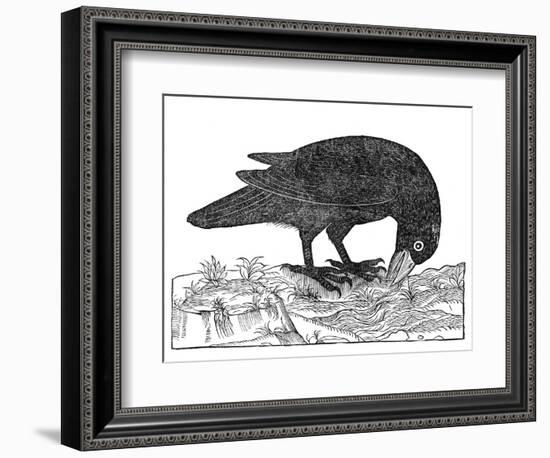 Crow, Historical Artwork-Middle Temple Library-Framed Photographic Print