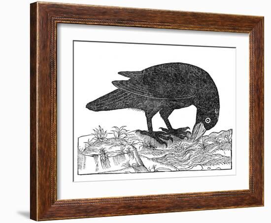 Crow, Historical Artwork-Middle Temple Library-Framed Premium Photographic Print