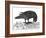 Crow, Historical Artwork-Middle Temple Library-Framed Premium Photographic Print