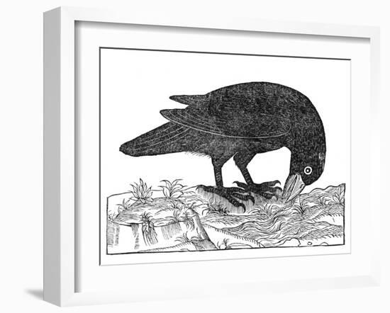 Crow, Historical Artwork-Middle Temple Library-Framed Premium Photographic Print