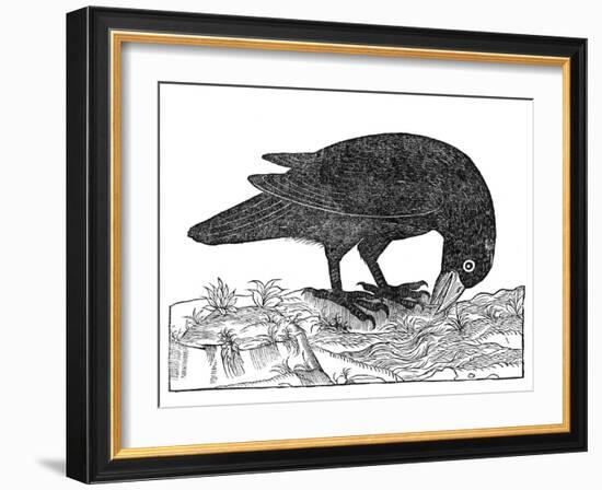 Crow, Historical Artwork-Middle Temple Library-Framed Premium Photographic Print