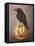 Crow on a Marble-Leah Saulnier-Framed Premier Image Canvas