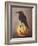 Crow on a Marble-Leah Saulnier-Framed Giclee Print