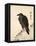 Crow Resting on Wood Trunk-Kyosai Kawanabe-Framed Premier Image Canvas